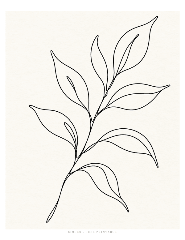 Preview of Single Leaf Line Art, Free Printable