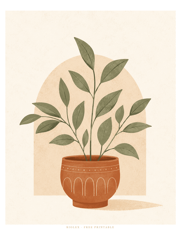Preview of Potted Plant in Arch, Free Printable