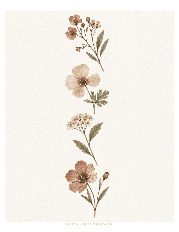 Preview of Pressed Wildflowers, Free Printable