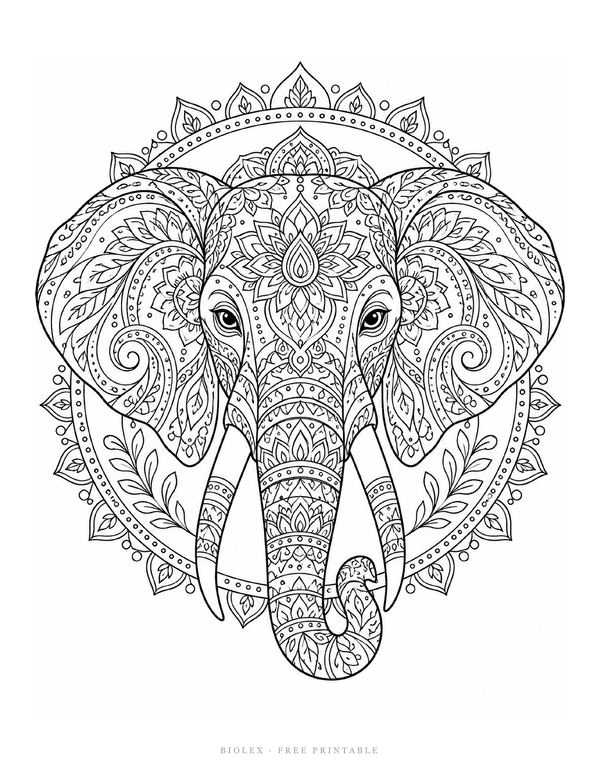 Preview of Elephant Mandala Coloring Page, Free Printable