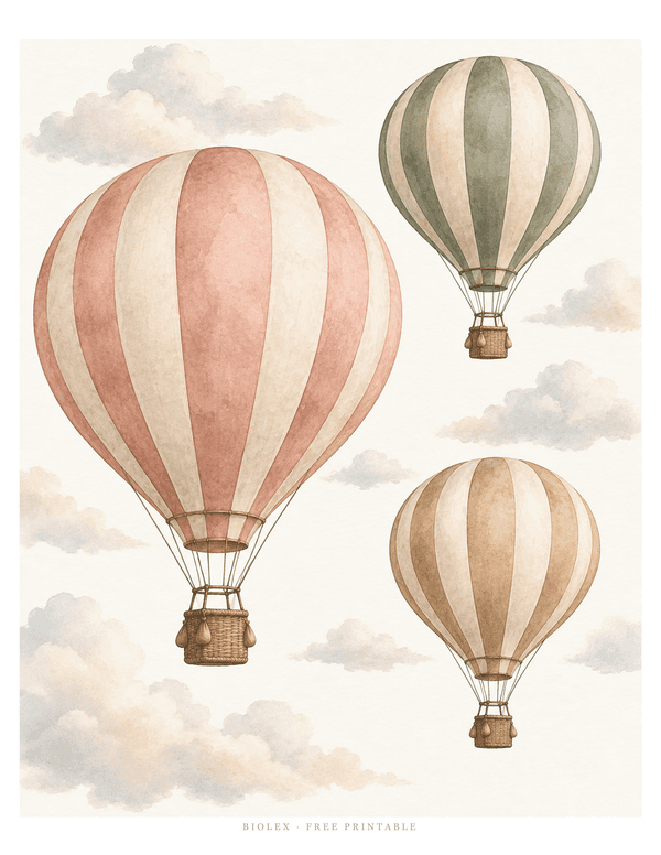 Preview of Hot Air Balloons, Free Printable