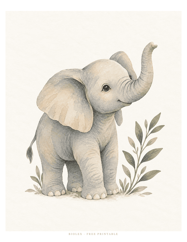 Preview of Baby Elephant, Free Printable
